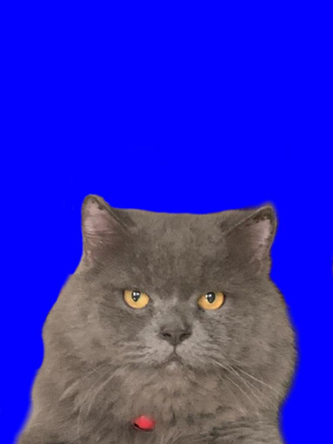 Bubu